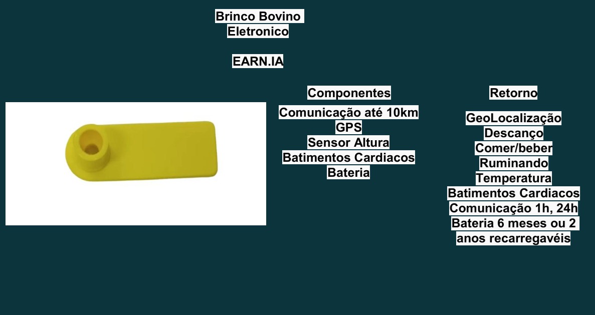 Brinco Eletrônico